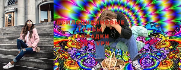 синтетический гашиш Алексеевка